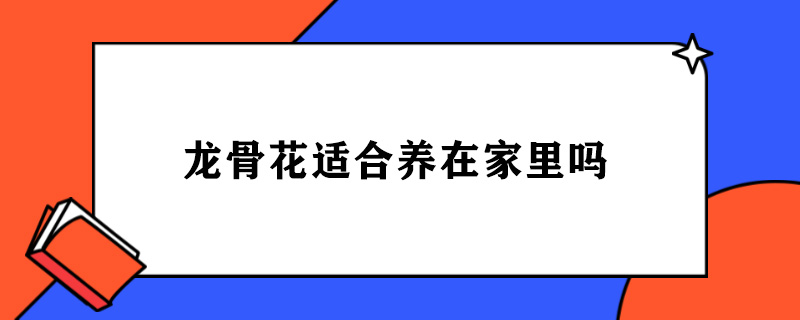 龙骨花适合养在家里吗.jpg