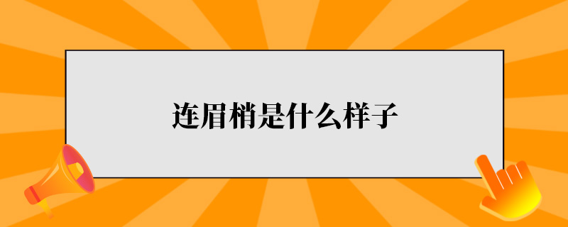 连眉梢是什么样子.jpg