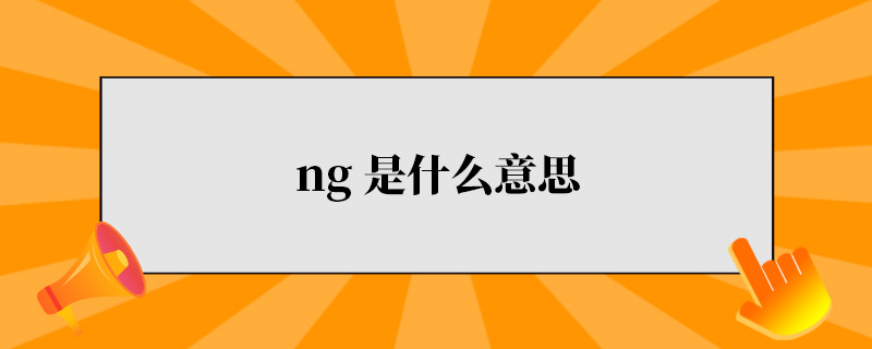 ng是什么意思.jpg